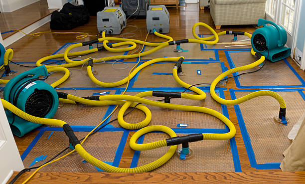 Professional Sewage Cleanup technician working in Saint Charles, SD